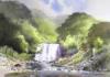 David Bellamy