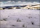 March snow. Black Mountains from Defynog