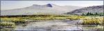 Pen y Fan - Spring