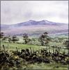 Pen y Fan - Summer