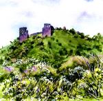 Dryslwyn Castle