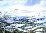 Carmarthenshire Bans in Winter