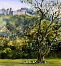 Dinefwr Castle