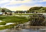 Flooded River Towy