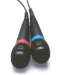 Software : SingStar Wired Microphones - Standalone Boxed (PS2)
