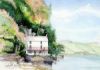 David Bellamy