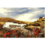 Abereiddi Cottages in Pembrokeshire