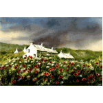 Pembrokeshire cottages