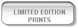 LTD EDITION PRINTS