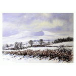 In the Brecon Beacons