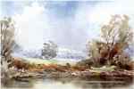 The Great Glass House